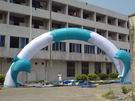 ARC-1029
