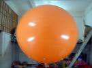 BAL-1003
