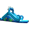 Water slider-236