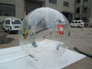 Water walk ball-1
