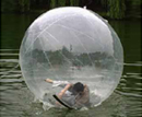 Water walk ball-3
