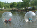 Water walk ball-21
