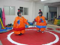 Sumo Wrestling