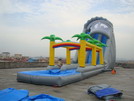 Inflatable Water Slide