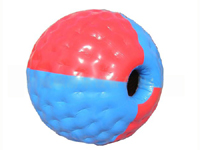 Zorb ball-8
