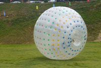 Zorb ball-21
