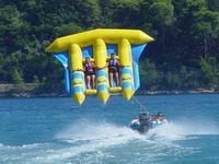 WAT-35 Flying Fish Boat