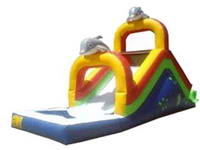 Dolphin Water Slide WS-38