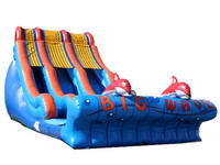 Giant Inflatable Water Slide WS-54