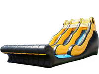 Tropical Water Slide Inflatable WS-57