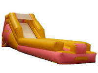 Inflatable Water Slide WS-266