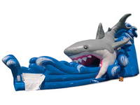 Inflatable Gone Surfing Dual Water Slide