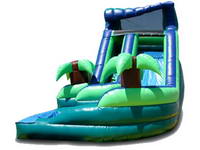 Dual Lane Curvy Water Slide WS-91