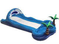 Tropical Slip And Dip Water Slide