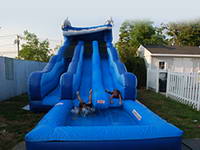 Dolphin Rip N Dip Water Slide WS-145