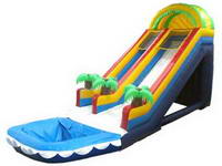 Inflatable Tropical Theme Water Slide