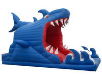 Inflatable Shark Water Slide