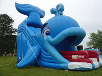 Inflatable Wally Whale Slide