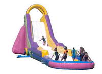 Giant Inflatable Water Slide WS-160