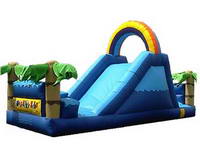 Inflatable Water Slide WS-66
