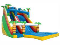 28ft Inflatable Mega Water Slide With Pool