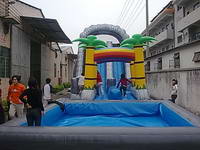 Inflatable Water Slide WS-200-1