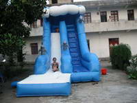Inflatable Water Slide WS-203