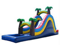 Inflatable Single Lane Water Slide