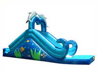 16ft Inflatable Dolphin Water Slide