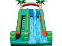 27ft Tropical Dual Lane Slide