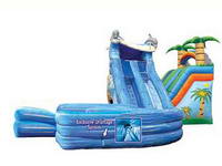 Inflatable Water Slide WS-20