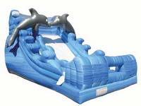 Inflatable Lovely Dophin Water Slide