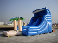 Inflatable Wave Water Slide