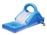 Inflatable Water Slide WS-9-1