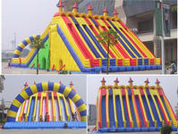 Ultimate Inflatable 10 Climb Step Lane Slide