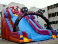 Inflatable Slide  CLI-485