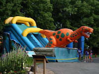 Giant Inflatable Tyrannosaurus Rex Slide