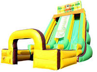 Giant Inflatable slide  CLI-1206