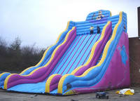 Giant Inflatable Aladdin Slide For Children Park Game