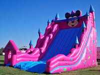 Inflatable Mickey Slide CLI-1213