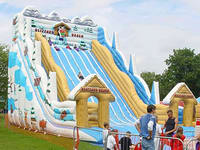 Giant Inflatable North Polar Bear Slide