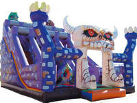 Inflatable Slide  CLI-507-2