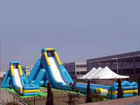 Giant Inflatable slide  CLI-623-11
