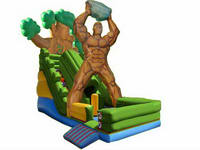 Giant Inflatable slide  CLI-835