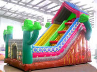 Indoor Inflatable House Slide