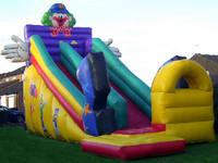 Outdoor Inflatable Slide In Lovely Joker Shape