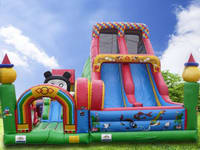 Climbing Slide Inflatable CLI-1530