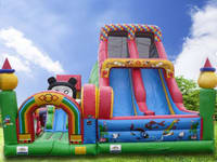 Outdoor Inflatable Climbing Ramp And Dual Slide Lanes