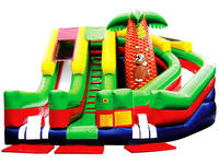 Giant Inflatable Congo Slide