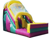 Giant Inflatable Double Lanes Slide For Sale